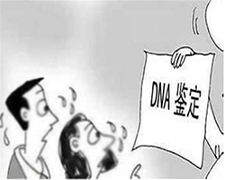 辽宁司法亲子鉴定需要怎么办理专业咨询