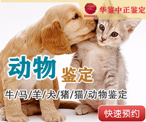 辽宁动物鉴定